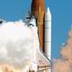 Illustration for article titled A Brief History of Animals and Rocket Launches Not Getting Along